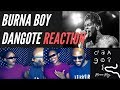 Burna Boy - Dangote (Reaction) | South African & Burundian YouTubers Burna Boy - Dangote (Reaction) | South African & Burundian YouTubers