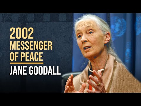 Jane Goodall: Messenger of Peace | 联合国