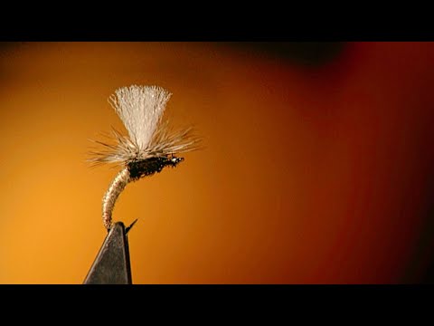 Oliver Edwards Ties the Klinkhamer