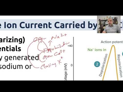 CNS Pharmacology – Part 1 | Forth grade | Introduction | أ.د. حيدر بهاء