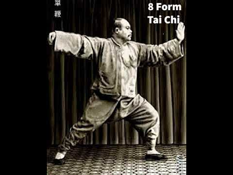 Documentation of 8-Form Traditional Tai Chi（楊澄甫 Master Yang Chengfu，Standard of Yang-Style) #shorts
