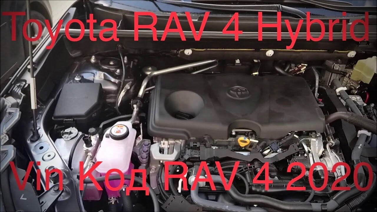 Где найти ВИН-код Toyota RAV4?