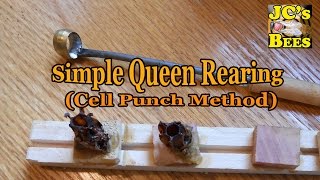Simple queen rearing (cell-punch method)