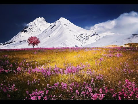 Allianz-Gottesdienst am 14 03 2021