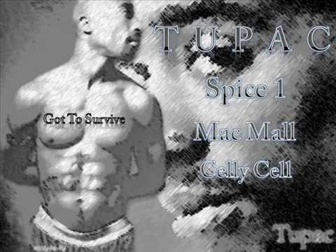 2Pac, Spice 1, Mac Mall, Celly Cell-Got To Survive