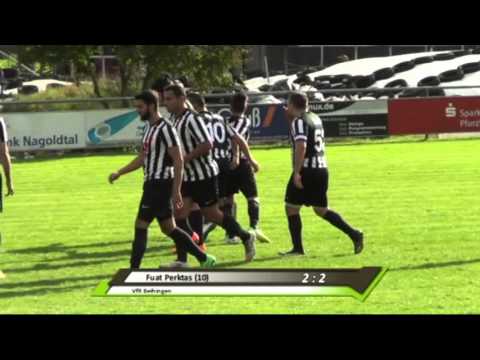 VfR Beihingen vs. TSV Altensteig: Die Zusammenfassung