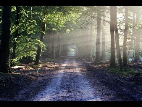 "La luce splende" Culto del 04 novembre 2018 - ADI Misilmeri.