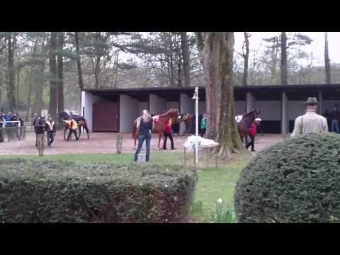 Ronja Profi vor dem zweiten Sieg