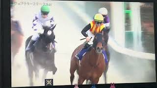 【フリーター競馬実況】2025 フェブラリーS コスタノヴァ（R.キング）