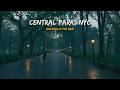 Walking In The Rain CENTRAL PARK NYC Binaural Heavy Rain Umbrella Thunder Nature Sounds
