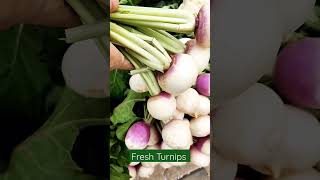 Download lagu Fresh Turnips at the Vegetable Market #shorts #shortstrending #turnip #vegetables mp3