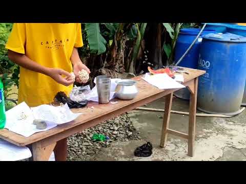 fastest eating challenge