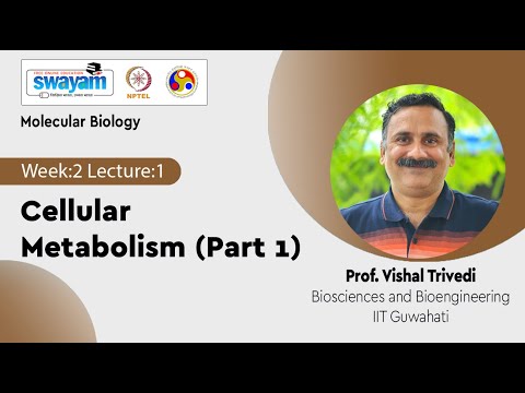 Molecular Biology Introduction Video