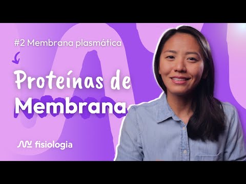 [#2] MEMBRANA PLASMÁTICA: PROTEÍNAS DE MEMBRANA | MK Fisiologia