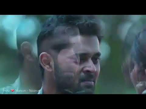 download lagu mp3 mp4 Albaum, download lagu Albaum gratis, unduh video klip Albaum