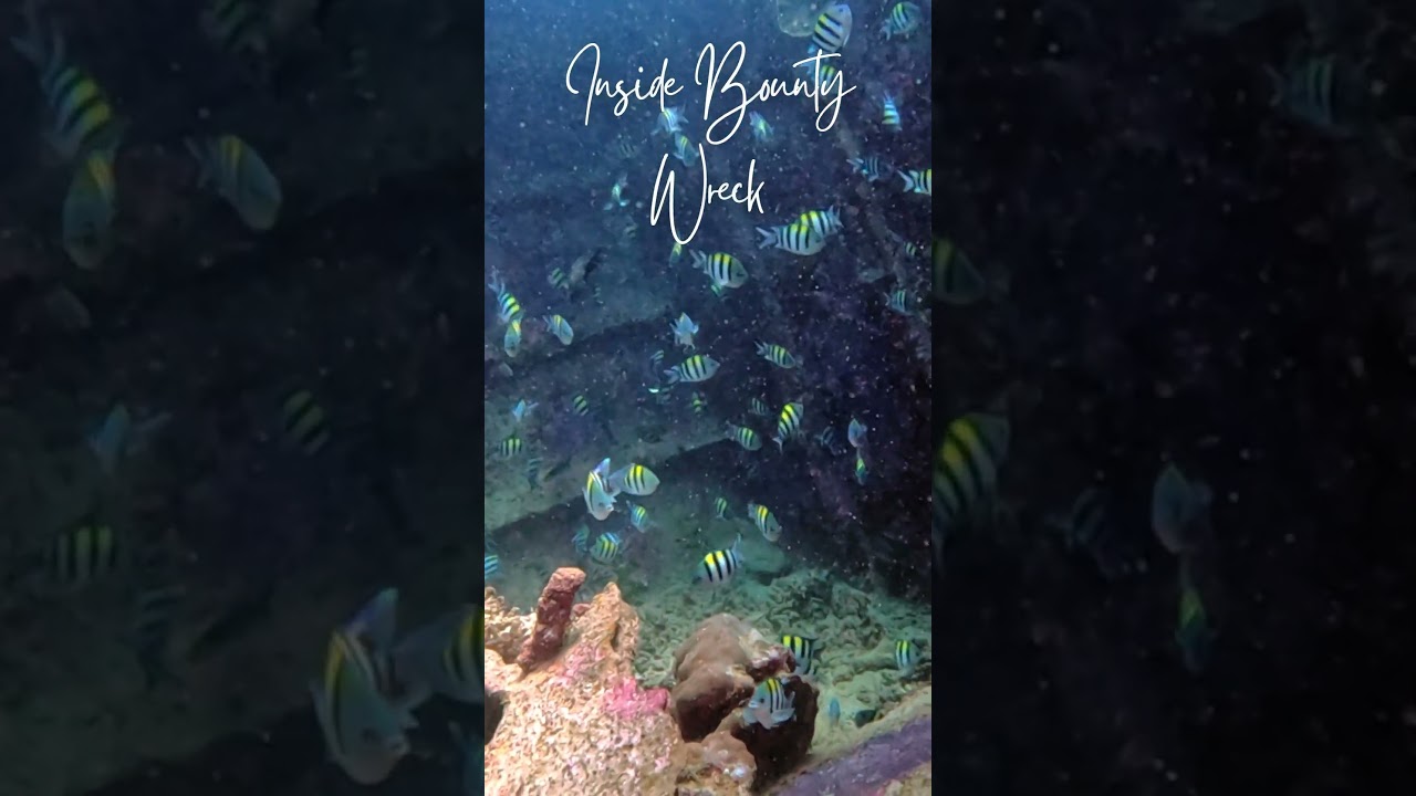 YouTube Short thumbnail