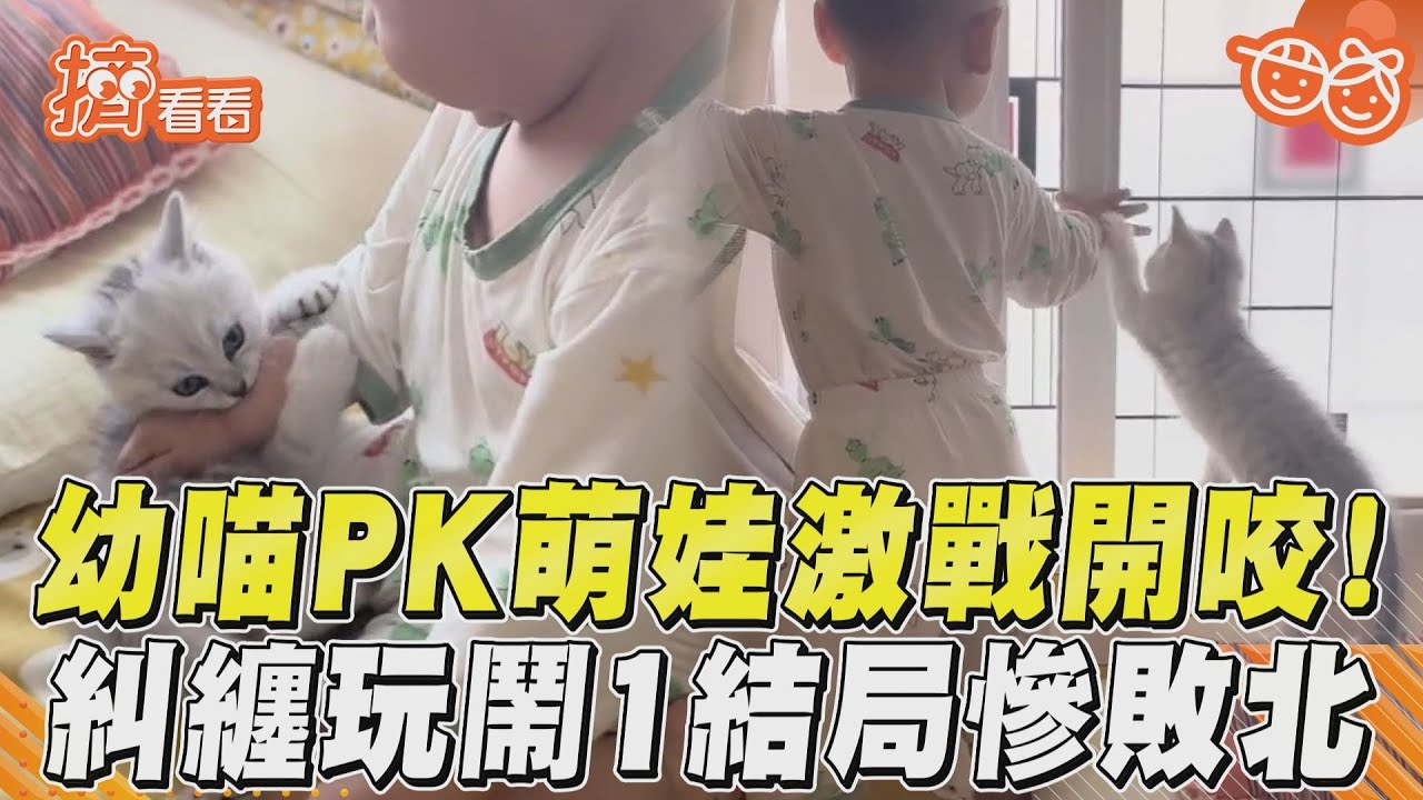 影音／床上激戰！幼喵PK萌娃糾纏玩鬧　結局慘敗北