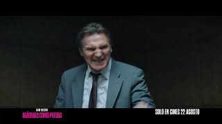 "Sin duda, la mejor comedia del año"