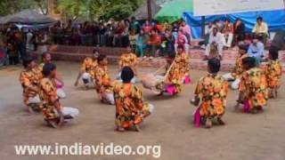 Panthi- the tribal dance of Chattisgarh