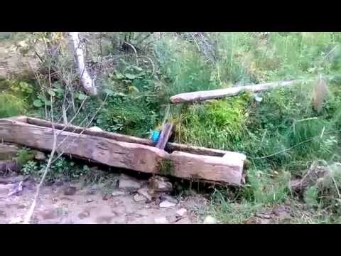 6. Pensiunea Vulturul, itinerar catre platoul din satul Plesi