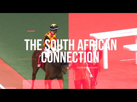 Douglas Whyte & Lyle Hewitson: The South African Connection