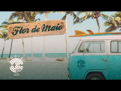 Vídeo: Código 32: de onde é e quais estados usam