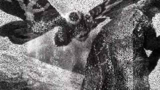 Michale Graves - Godzilla