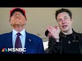 'The bromance is over': Will the Trump, Musk feud de-escalate?
