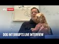 Dog interrupts live interview with Lord Vaizey talking about Elgin Marbles