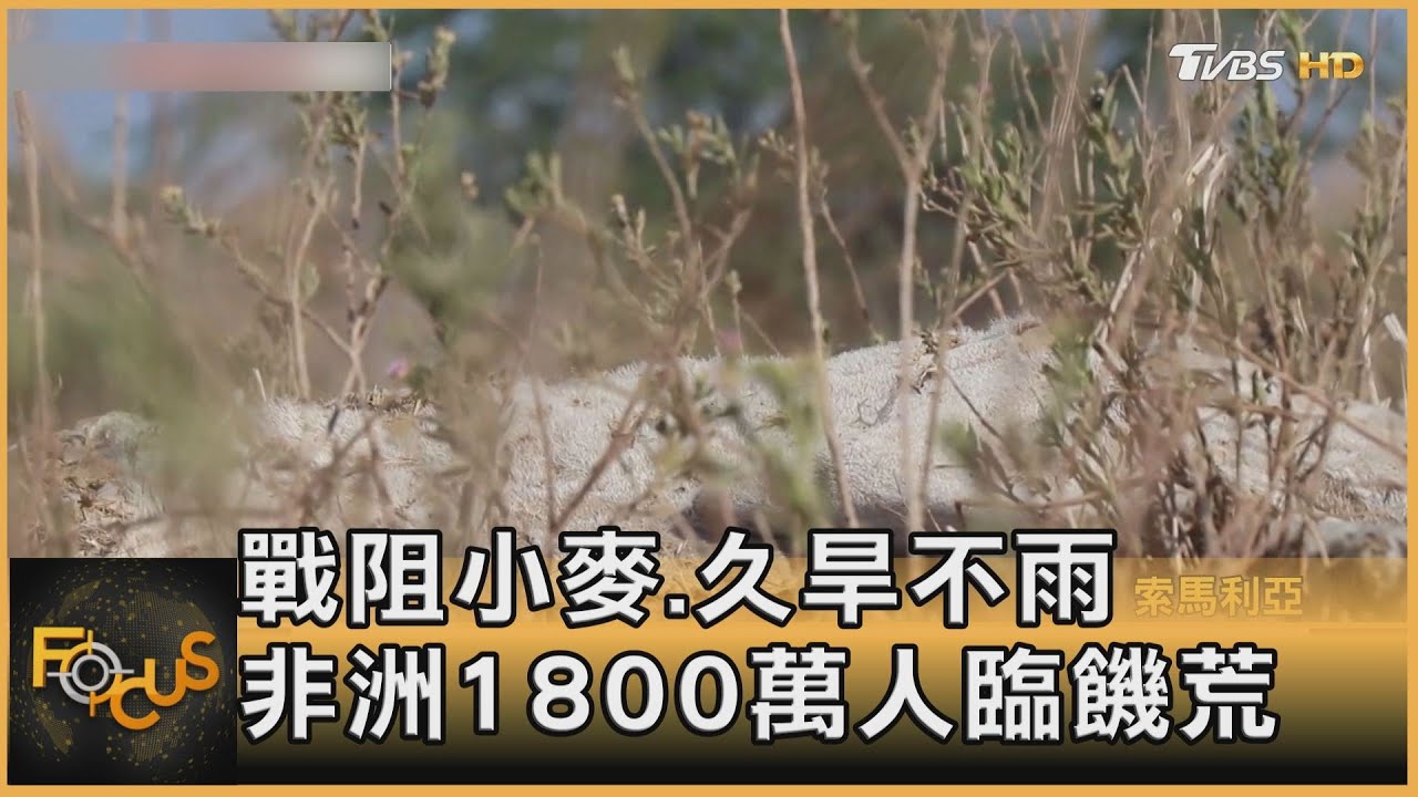 戰阻小麥.久旱不雨 非洲1800萬人臨饑荒