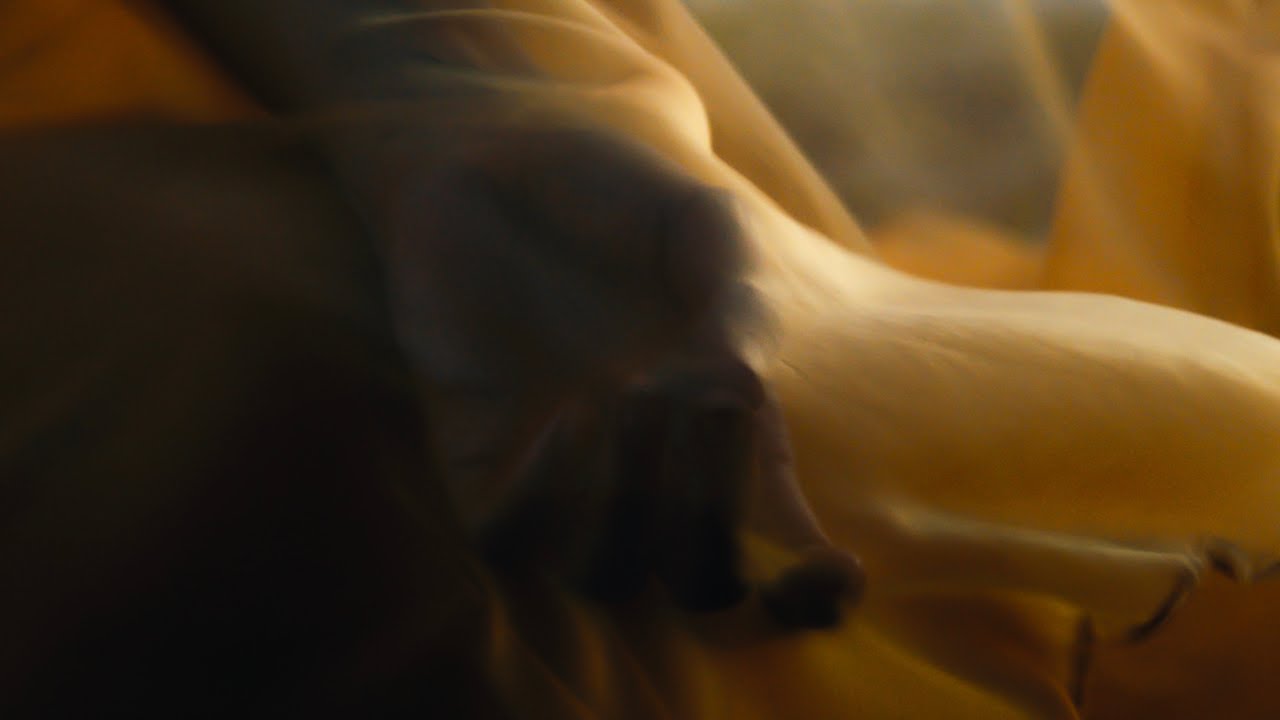 Todas as coisas / Toutes les choses (feat. REB)