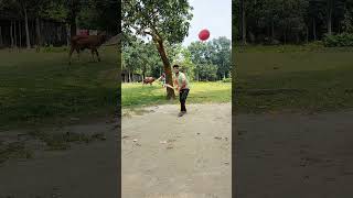 Download lagu Classic shot 🏏#viral #youtubeshorts #viratkohli #foryou mp3