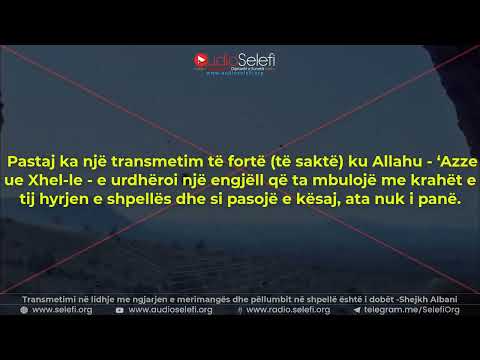 Transmetimi në lidhje me ngjarjen e merimangës dhe pëllumbit në shpellë është i dobët -Shejkh Albani