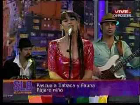 Pascuala Ilabaca & Fauna - Pajaro Niño (SLB 2013)