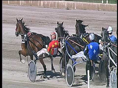 Trotto 09/04/2017 - 3ª corsa