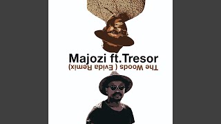 The Woods (Evida Remix)