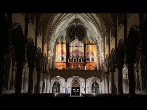 Messiaen - La Nativité - v. Les Enfants de Dieu - Thomas Gaynor - Hook organ Buffalo Cathedral
