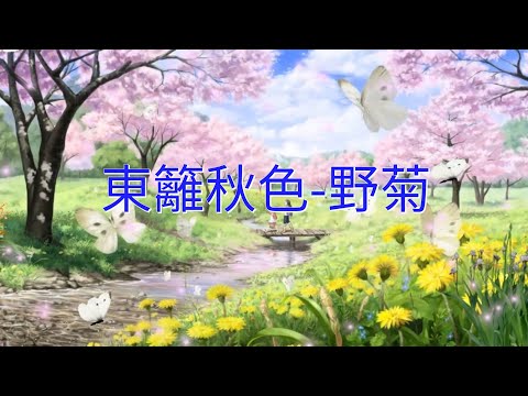 YPT18《東籬秋色-野菊》 心靈音樂｜休閒音樂｜佛教音樂｜禪修音樂｜太極拳背景音樂＞無痕加長珍藏版