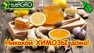 🌿 Секрет КРЕПКОЙ и ЗДОРОВОЙ РАССАДЫ  без химозы: домашние средства за копей?