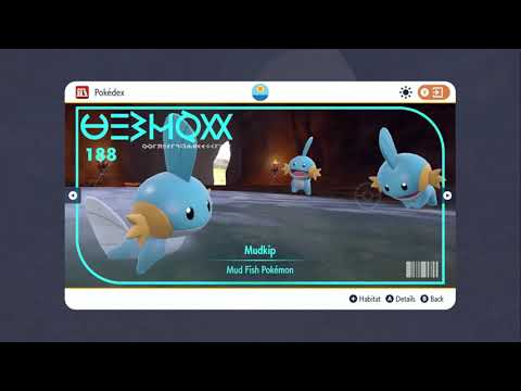 How to find Mudkip in Pokémon Scarlet and Violet The Indigo Disk