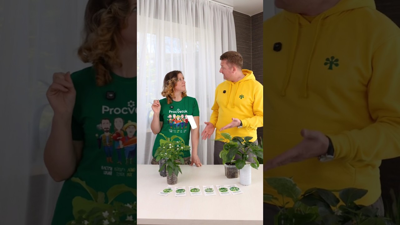 Агрореалити Битва за урожай! Сеем огурцы на рассаду для большого и самого раннего урожая