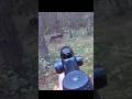 Amazing Shot Of Deer Hunting Chasse Moose Deer