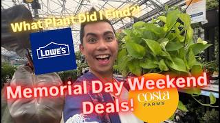 LOWE'S MEMORIAL DAY PLANT SALES 2026: Massive Selection of Easy Care Houseplants
