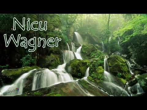 NICU WAGNER   COLAJ CU MUZICA CRESTINA PRIN DUHUL SFANT