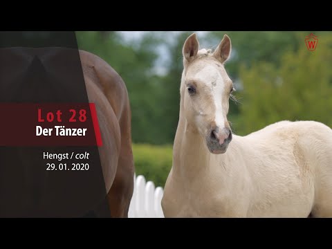 28 Der Tänzer Hengst v. Diamond Touch NRW - FS Cracker Jack