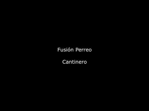 cantinero fusión perreo   -   letra completa