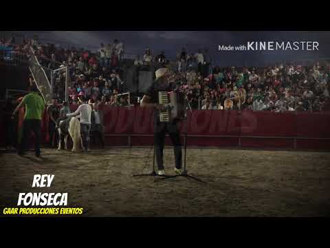 Rey Fonseca • concierto en vivo • plaza de toros