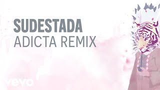 Gustavo Cerati - Sudestada (Adicta Remix) (Pseudo Video)