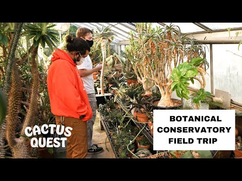 Meat eating plants, living fossils & a Plant scientist @ UC Davis #BotanicalConservatory #botany