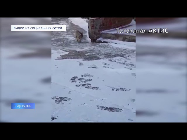 Полосатый променад